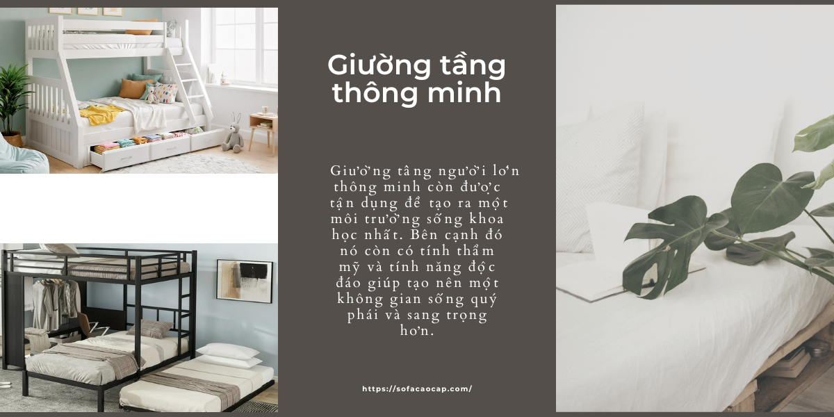 Giường 2 tầng thiết kế tiện ích, đa năng trong sử dụng