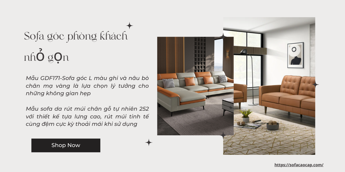 2 gợi ý bộ sofa cho phòng khách nhỏ tuyệt vời cho không gian phòng khách nhỏ gọn, chật hẹp