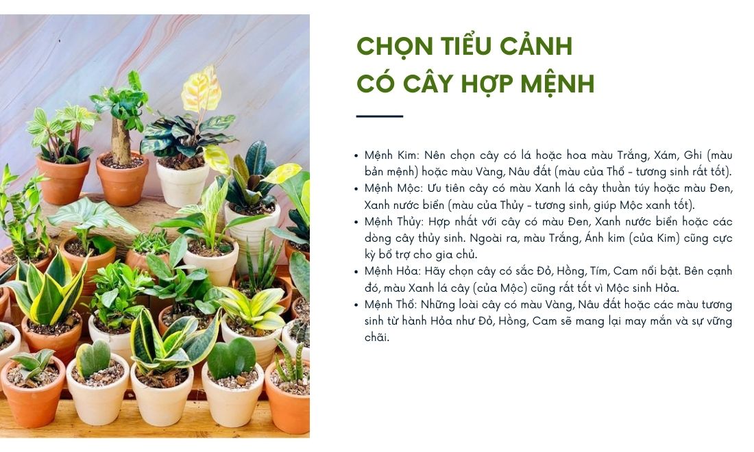 Một chậu tiểu cảnh mini để bàn sẽ giúp bạn hanh thông công việc, gặp nhiều may mắn, tài lộc hơn khi hợp với mệnh của chủ nhân 