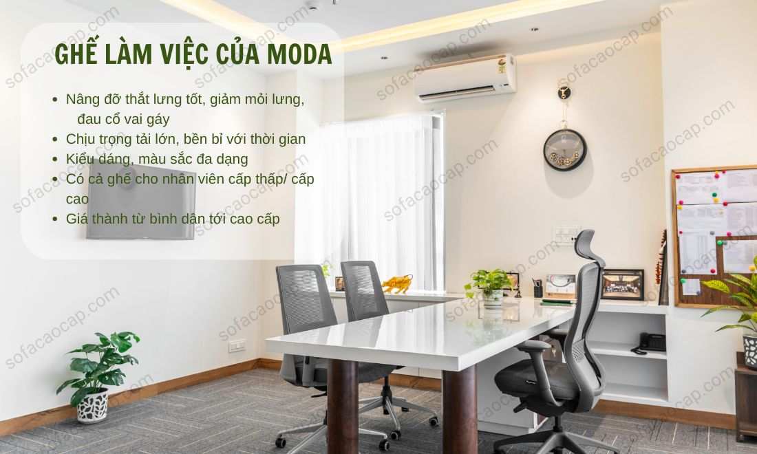 Moda mang tới cho quý khách hàng những mẫu ghế ngồi lúc làm việc ở nhà và văn phòng, công ty với nhiều ưu điểm vượt trội 