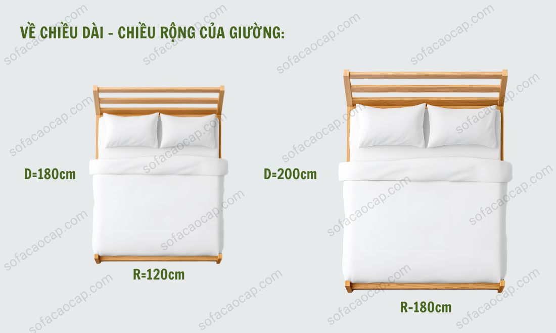 Kích thước chuẩn từ 120x180cm đến 180x200cm giúp người già thoải mái trở mình, không lo lọt mép giường