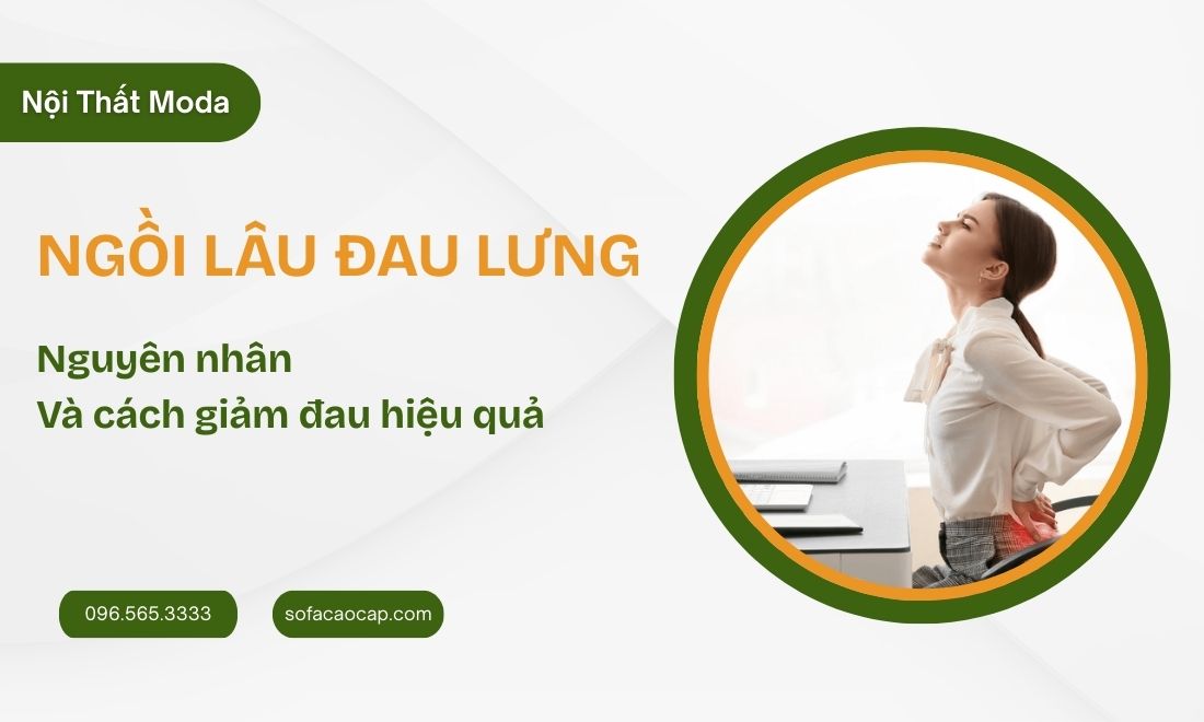 Nguyên Nhân Ngồi Lâu Đau Lưng Và 5 Cách Giảm Đau Hiệu Quả
