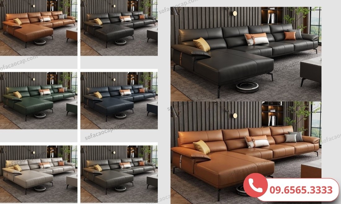 Màu sắc của mã SFN02